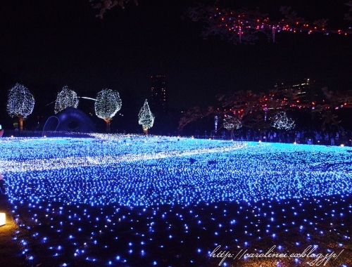 東京ミッドタウンのイルミネーション_d0025294_21756.jpg