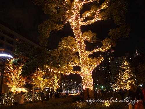 東京ミッドタウンのイルミネーション_d0025294_242556.jpg