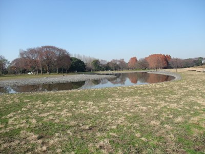 水元公園_d0153294_17112387.jpg