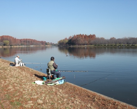 水元公園_d0153294_1772895.jpg