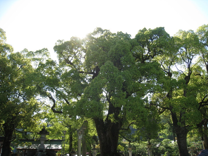 f0048597_1334839.jpg