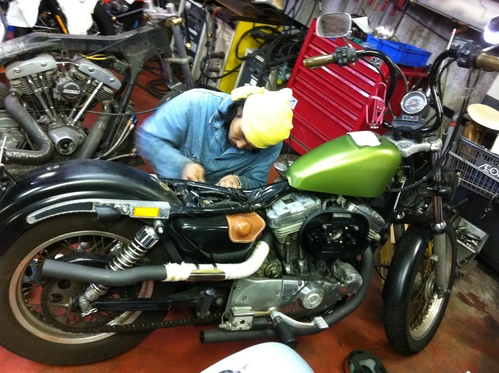 本日のサイラ_a0165898_22474943.jpg