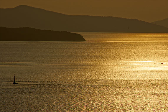 d0001300_2138494.jpg