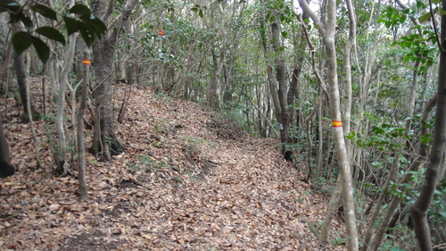f0036700_1536543.jpg