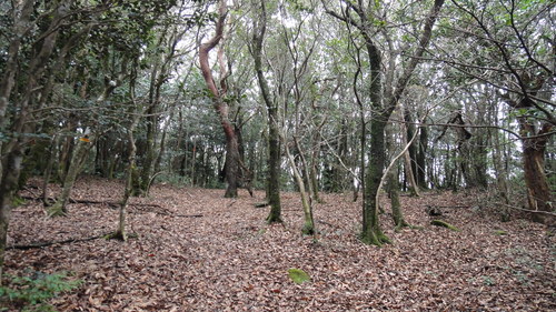 f0036700_15371913.jpg