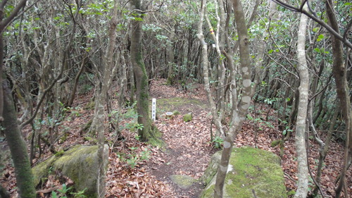f0036700_15373393.jpg