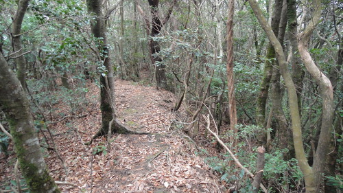 f0036700_15384891.jpg