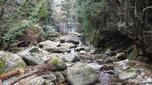 f0036700_1544818.jpg