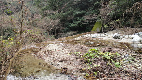 f0036700_16292072.jpg