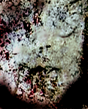 e0103408_12183825.gif