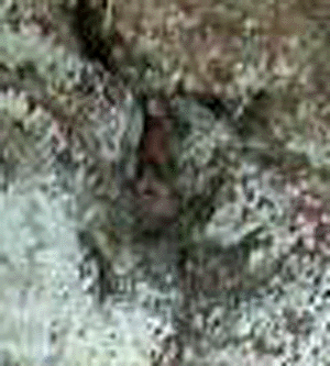 e0103408_12305092.gif