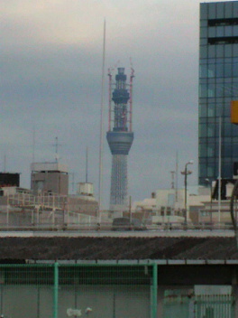 f0127408_2340339.jpg