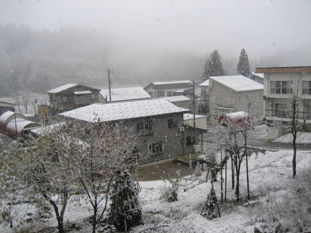 初雪だよ～_f0067514_8251187.jpg