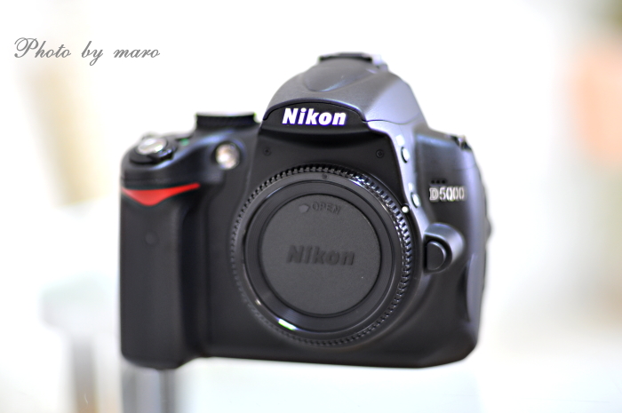 今更ですが・・・　エントリー機 NIKON D5000 買っちゃいましたぁ～♪♪_e0160417_11511960.jpg