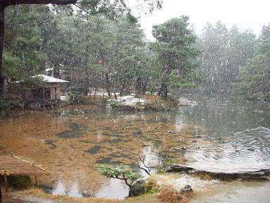 雪です！　清水園_e0135219_9412728.jpg