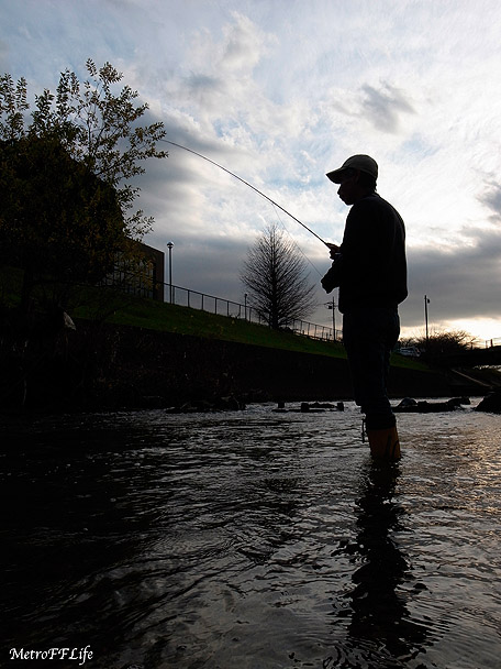 Last Fishing_e0112722_2182926.jpg