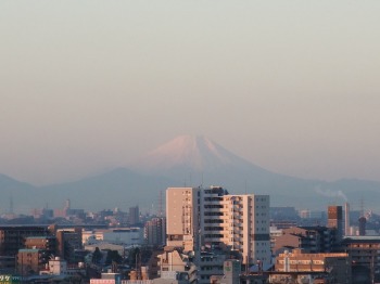 富士山みたになりたいニャ・・・_f0210625_20165016.jpg