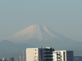 富士山みたになりたいニャ・・・_f0210625_2020973.jpg