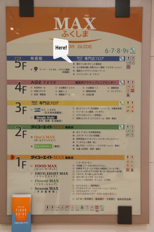 福島市福島 猫cafe あいきゃっと福島店 新 間違いだらけの猫カフェ選び