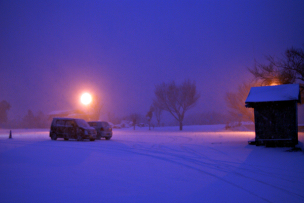 再び♪雪やこんこ♪_f0214649_2053266.jpg