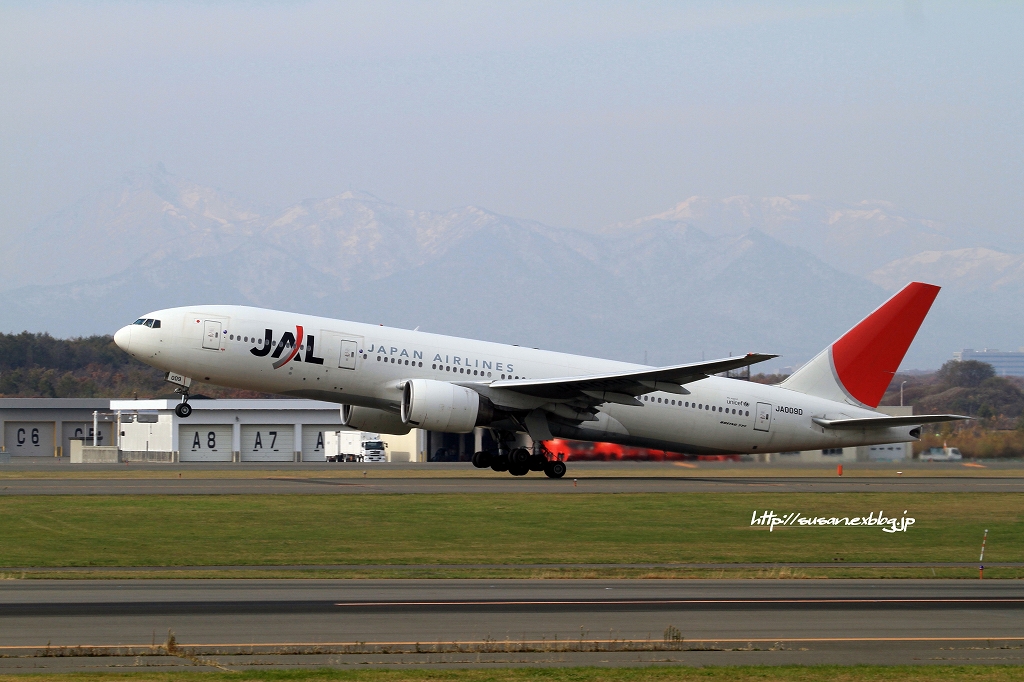 新千歳空港　Nポイント いろんなやつ (･∀･)　(笑)_f0136656_22171612.jpg