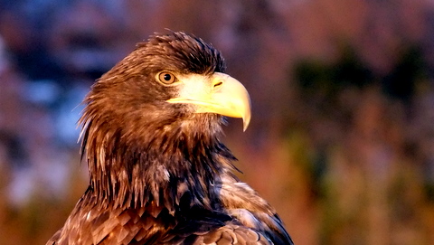 b0165760_20273514.jpg