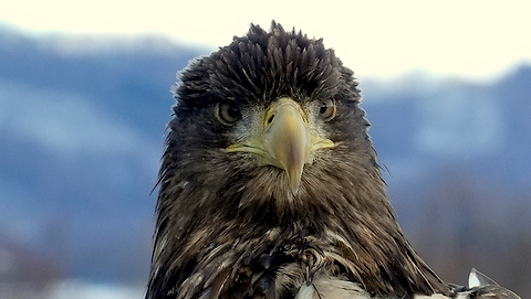 b0165760_2081427.jpg