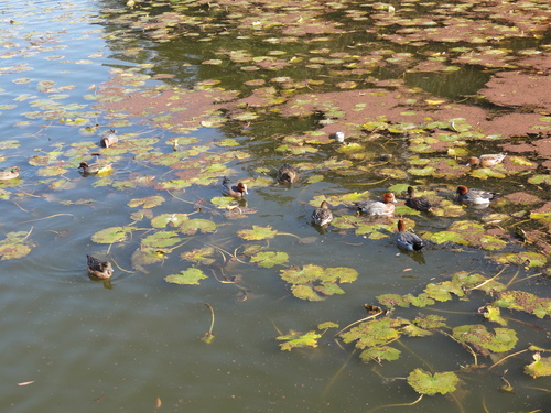 c0108460_14201239.jpg