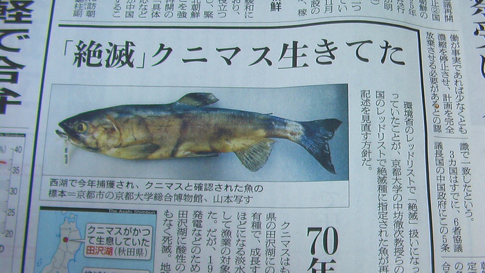 やった クニマス発見 流れの向こうに