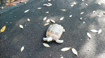 e0148373_123412.jpg
