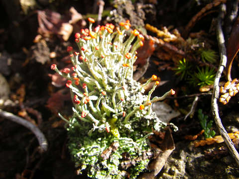 c0002874_22165515.jpg