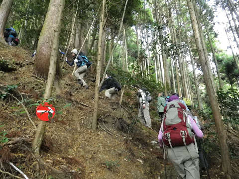 c0002874_742265.jpg