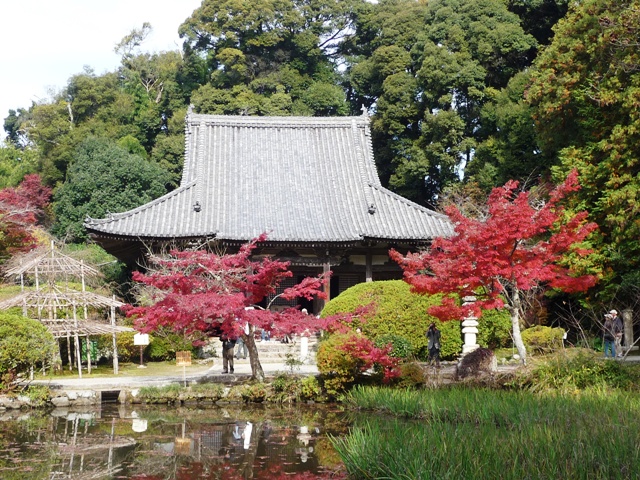 長岳寺の紅葉２０１０　５_d0042474_21584066.jpg