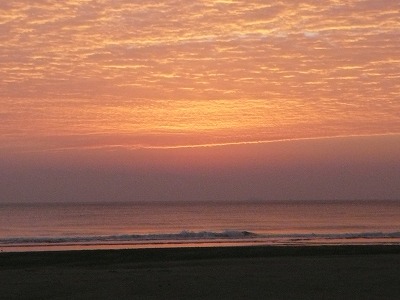 d0114583_8142722.jpg