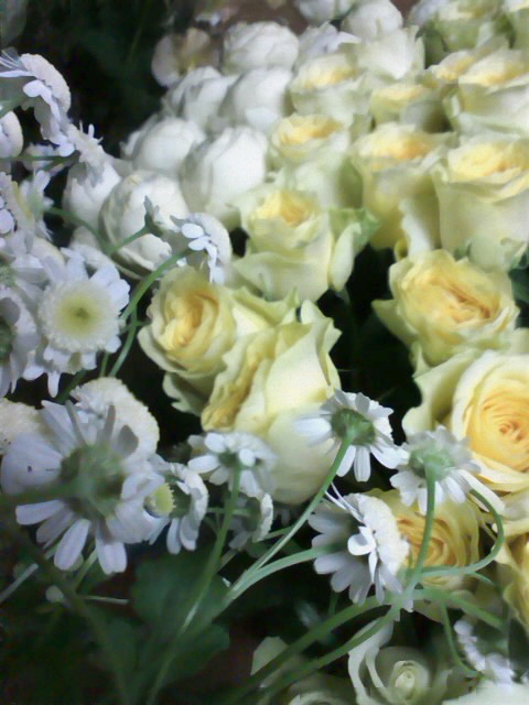 f0223290_21315076.jpg