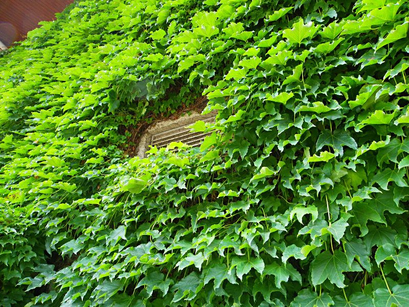 f0204094_20112767.jpg