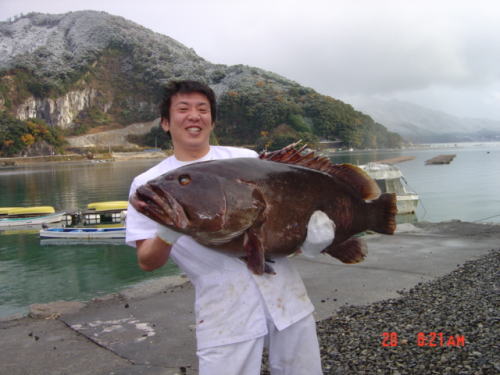 海鮮式 SUNSEAレストラン。_f0170995_2380100.jpg