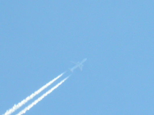b0055202_125050.jpg