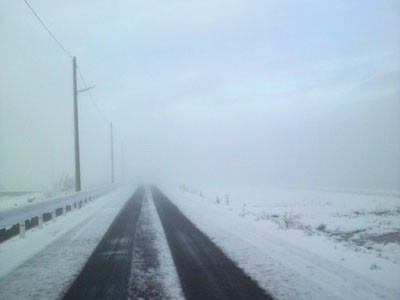 f0082402_12341640.jpg