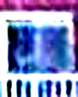 e0103408_7184298.gif