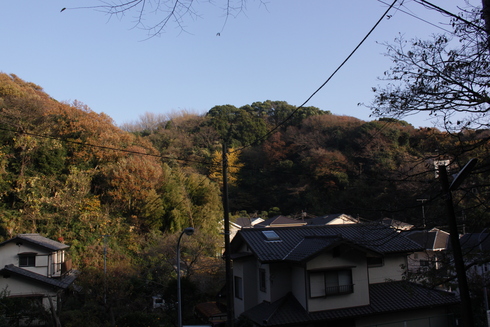 f0225108_1003870.jpg