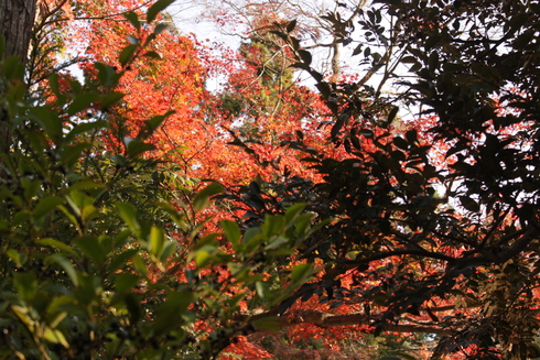f0225108_9562888.jpg