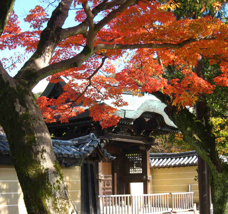 秋の京都てくてく旅　高台寺_d0154609_1042070.jpg