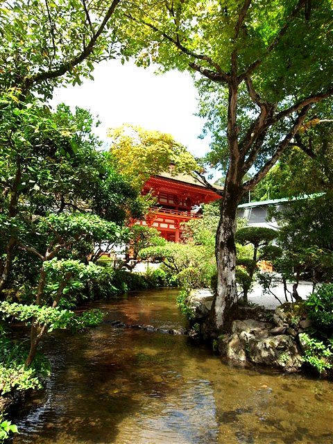 「生」の傍らで営む存在感。_c0116714_2263012.jpg