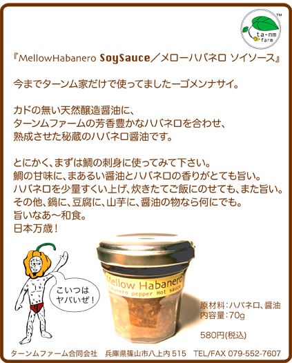 MellowHabanero Soysauce_e0015915_16274291.jpg