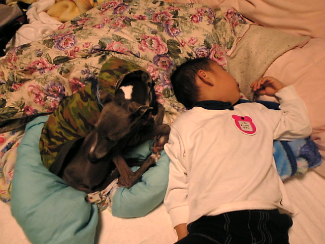 c0003217_2122136.jpg