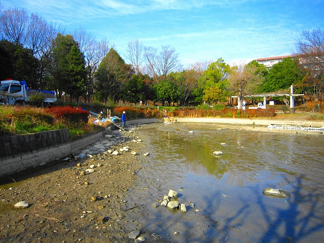 野池の生態系調査_d0205917_0142312.jpg