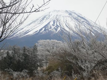 富士の裾野の冬景色_a0088823_14381862.jpg