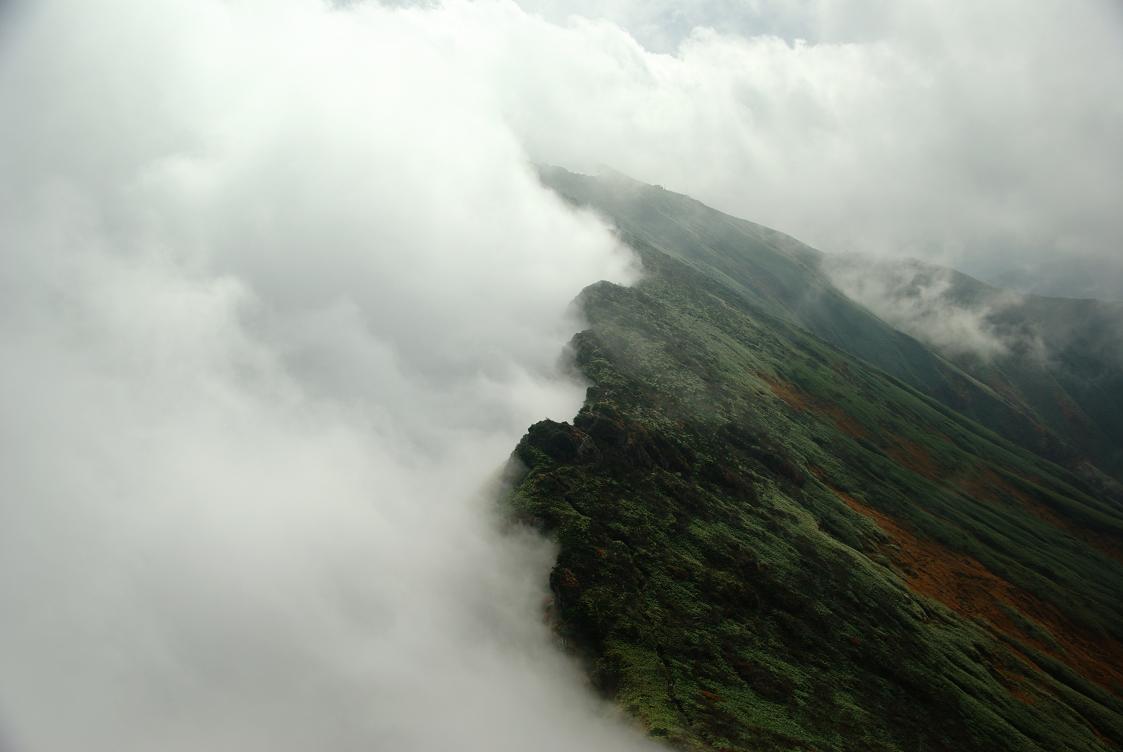 b0062024_934251.jpg