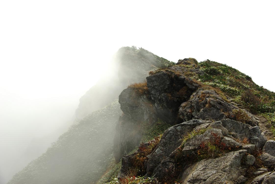 b0062024_97471.jpg